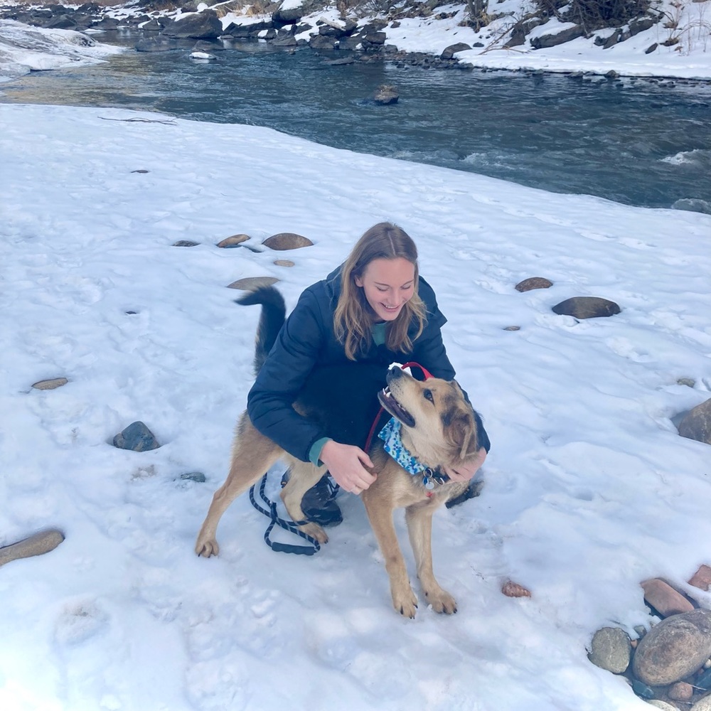 Meet your Posher, Callie